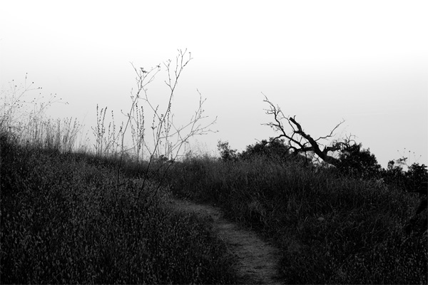Dark Path