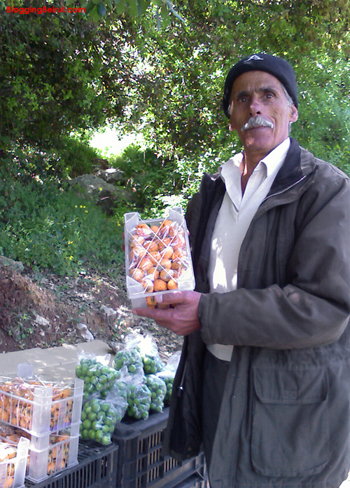 Where to be Happy on a Fruit-Only Diet! (is that even possible?) Where to be Happy on a Fruit-Only Diet! (is that even possible?)