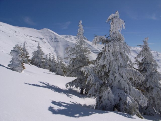 FW: 3 BC skiing iPhotos