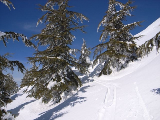 FW: More snow