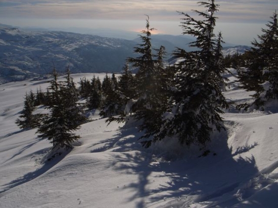 FW: More snow
