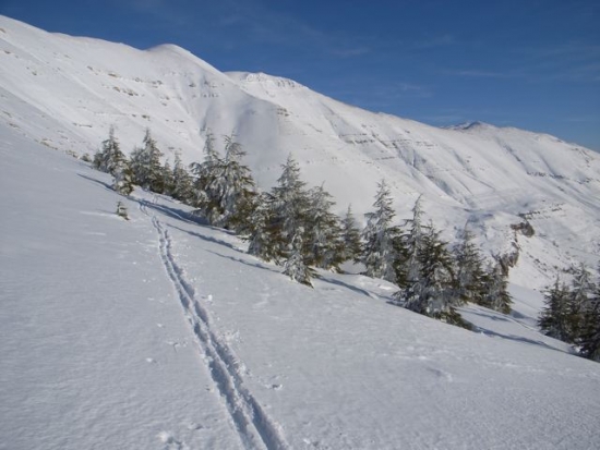 FW: 3 BC skiing iPhotos