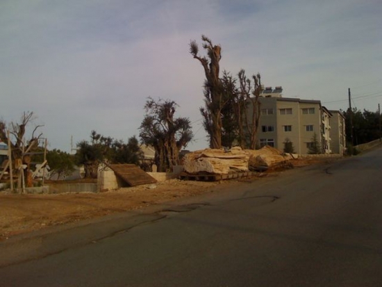 Click for full size image