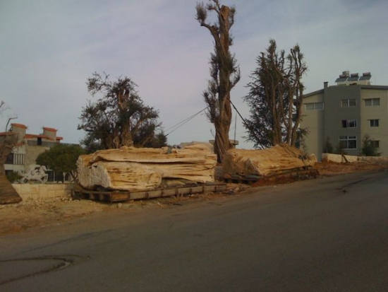 Click for full size image