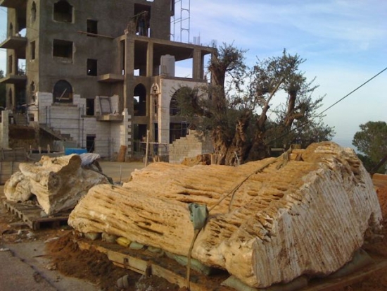 Click for full size image