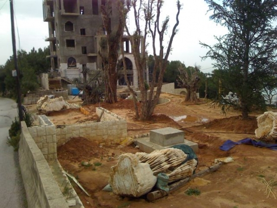 Click for full size image